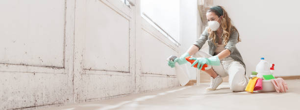 Best Asbestos and Lead Testing During Mold Inspection  in Louisville, TN